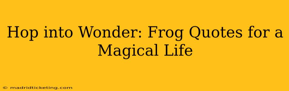 Hop into Wonder: Frog Quotes for a Magical Life