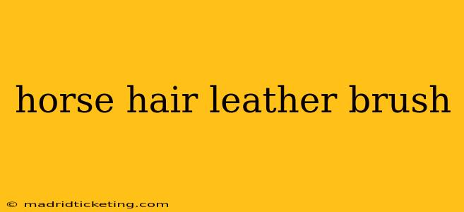 horse hair leather brush
