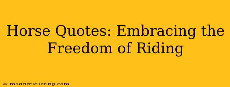 Horse Quotes: Embracing the Freedom of Riding