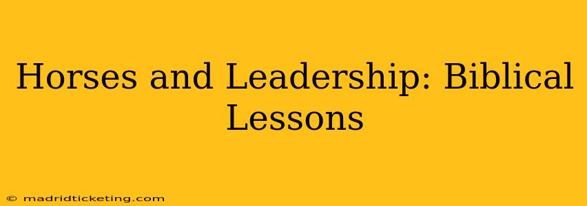 Horses and Leadership: Biblical Lessons