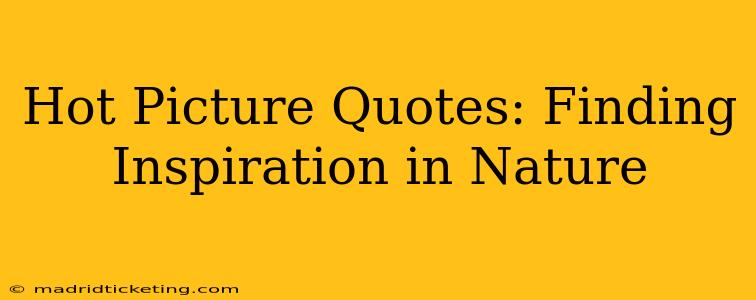 Hot Picture Quotes: Finding Inspiration in Nature