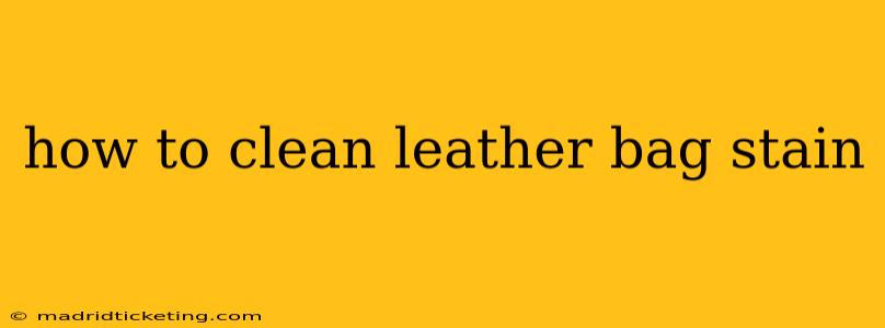 how to clean leather bag stain