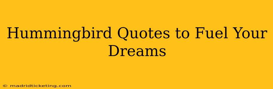 Hummingbird Quotes to Fuel Your Dreams