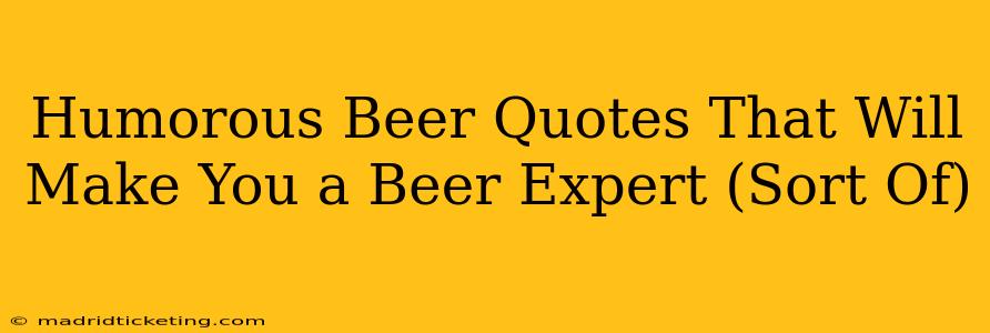 Humorous Beer Quotes That Will Make You a Beer Expert (Sort Of)