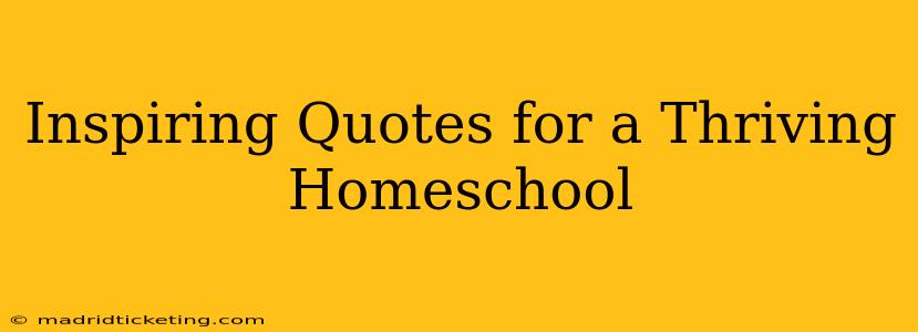 Inspiring Quotes for a Thriving Homeschool