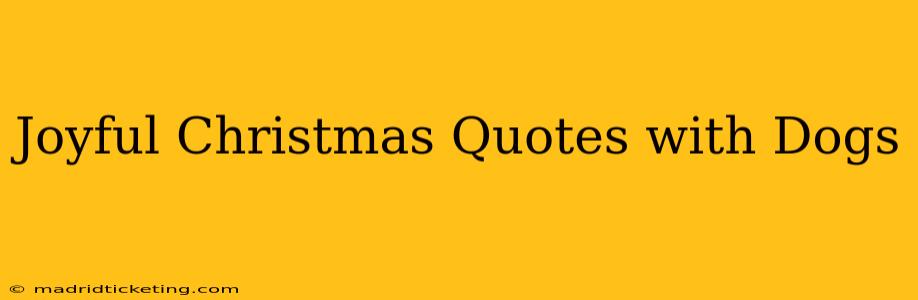 Joyful Christmas Quotes with Dogs