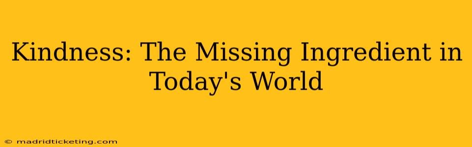 Kindness: The Missing Ingredient in Today's World