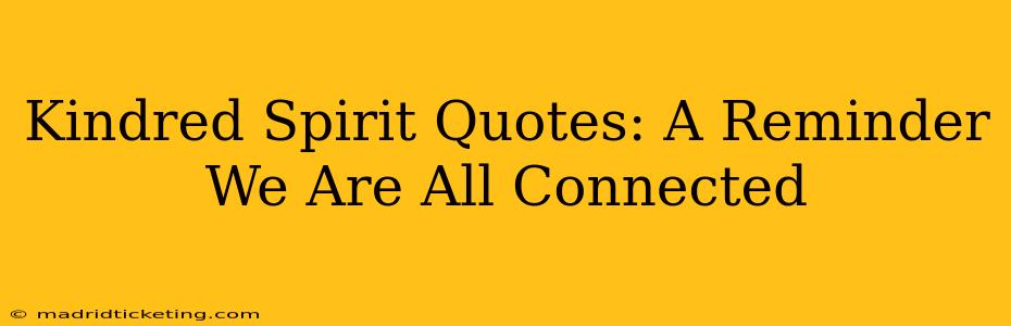 Kindred Spirit Quotes: A Reminder We Are All Connected