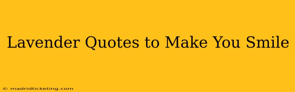 Lavender Quotes to Make You Smile