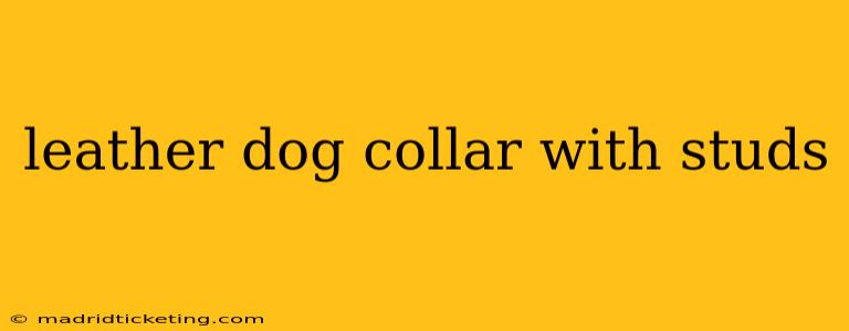 leather dog collar with studs