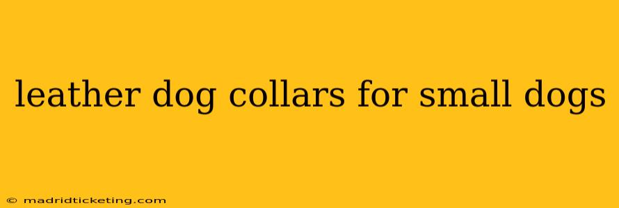 leather dog collars for small dogs