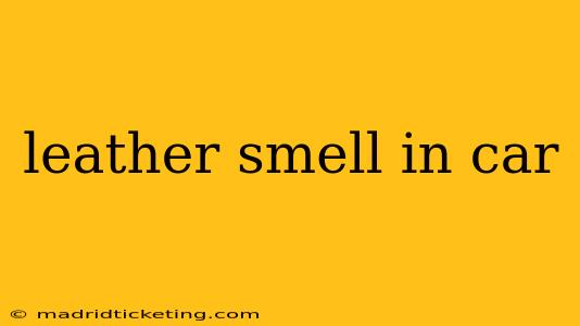 leather smell in car