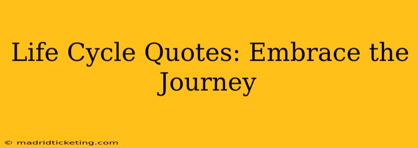 Life Cycle Quotes: Embrace the Journey