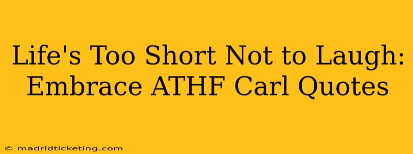 Life's Too Short Not to Laugh: Embrace ATHF Carl Quotes