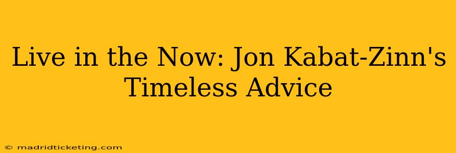 Live in the Now: Jon Kabat-Zinn's Timeless Advice