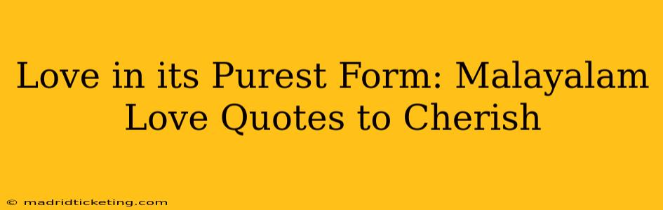 Love in its Purest Form: Malayalam Love Quotes to Cherish