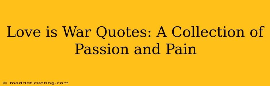 Love is War Quotes: A Collection of Passion and Pain