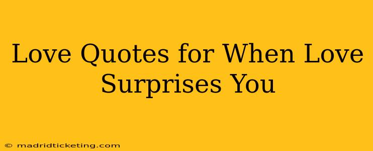 Love Quotes for When Love Surprises You