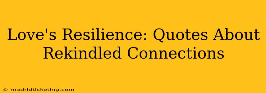 Love's Resilience: Quotes About Rekindled Connections