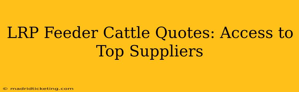 LRP Feeder Cattle Quotes: Access to Top Suppliers