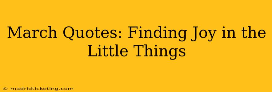 March Quotes: Finding Joy in the Little Things