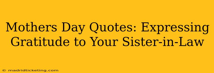 Mothers Day Quotes: Expressing Gratitude to Your Sister-in-Law