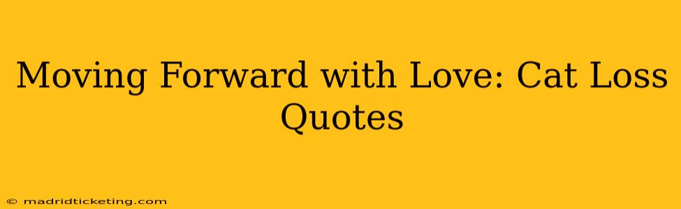 Moving Forward with Love: Cat Loss Quotes