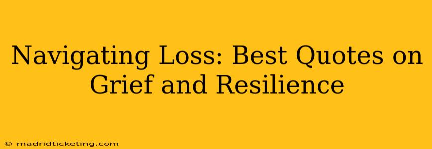 Navigating Loss: Best Quotes on Grief and Resilience