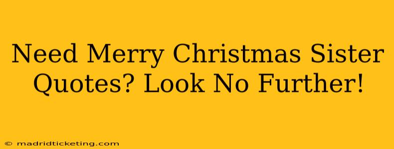 Need Merry Christmas Sister Quotes? Look No Further!