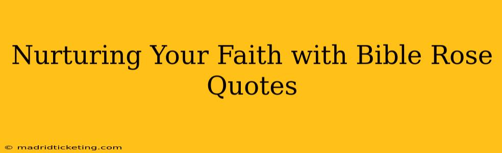 Nurturing Your Faith with Bible Rose Quotes