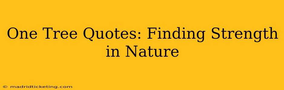 One Tree Quotes: Finding Strength in Nature