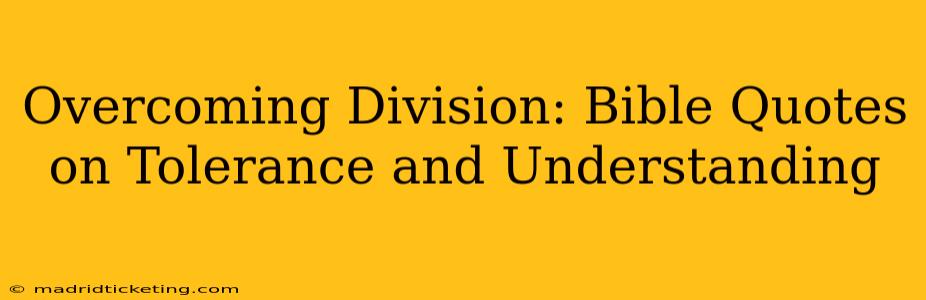 Overcoming Division: Bible Quotes on Tolerance and Understanding