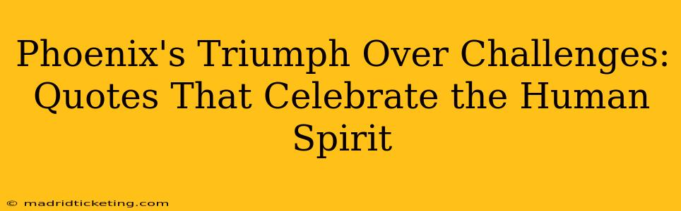 Phoenix's Triumph Over Challenges: Quotes That Celebrate the Human Spirit