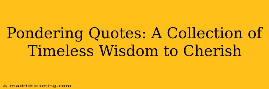 Pondering Quotes: A Collection of Timeless Wisdom to Cherish