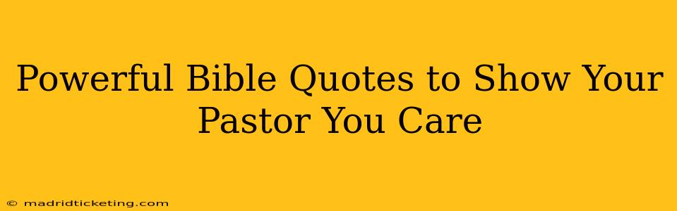 Powerful Bible Quotes to Show Your Pastor You Care
