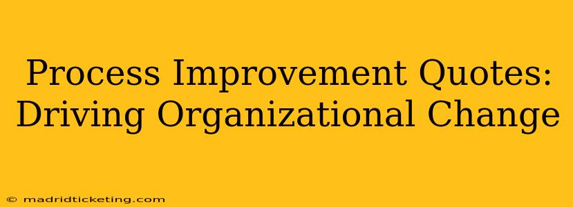 Process Improvement Quotes: Driving Organizational Change