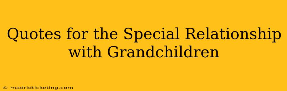 Quotes for the Special Relationship with Grandchildren