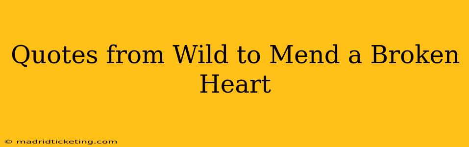 Quotes from Wild to Mend a Broken Heart
