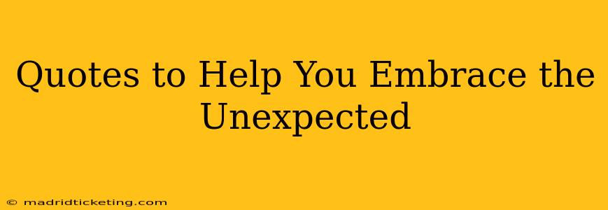 Quotes to Help You Embrace the Unexpected