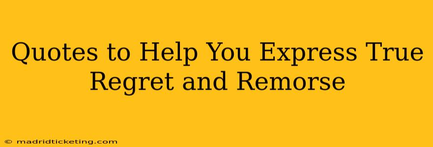 Quotes to Help You Express True Regret and Remorse