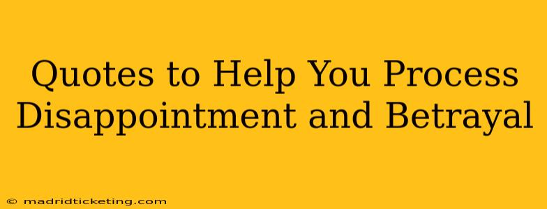 Quotes to Help You Process Disappointment and Betrayal