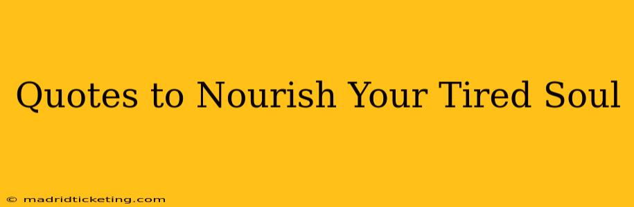 Quotes to Nourish Your Tired Soul