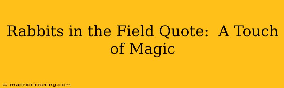 Rabbits in the Field Quote:  A Touch of Magic