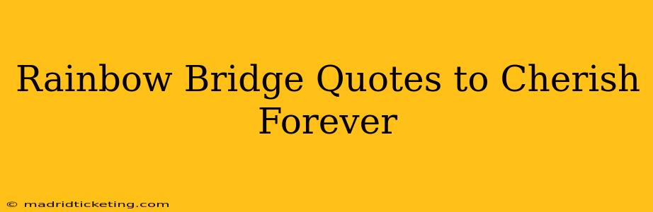 Rainbow Bridge Quotes to Cherish Forever