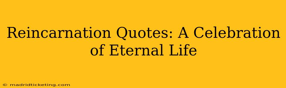 Reincarnation Quotes: A Celebration of Eternal Life