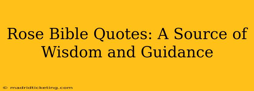 Rose Bible Quotes: A Source of Wisdom and Guidance