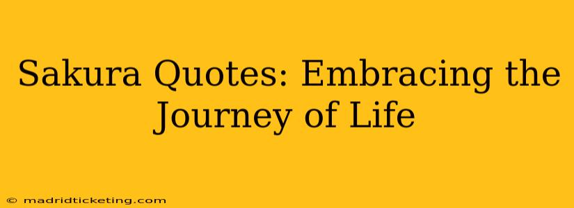 Sakura Quotes: Embracing the Journey of Life