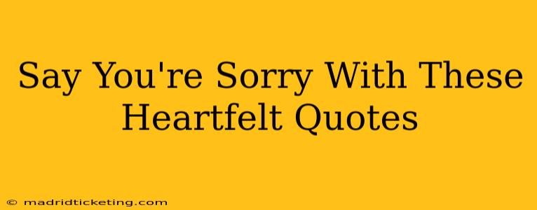 Say You're Sorry With These Heartfelt Quotes