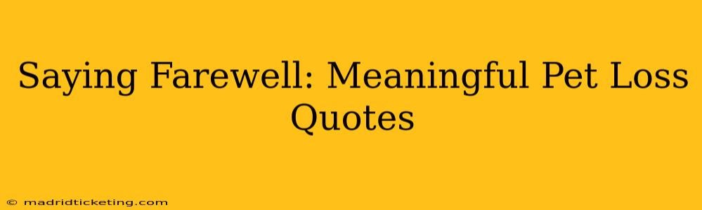 Saying Farewell: Meaningful Pet Loss Quotes