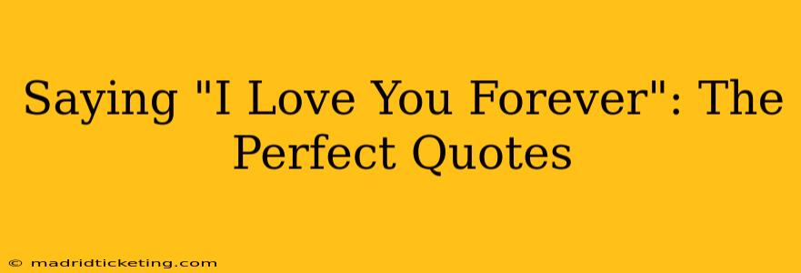 Saying "I Love You Forever": The Perfect Quotes
